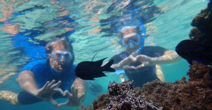Porto Santo: Snorkeling Tour - Good To Know