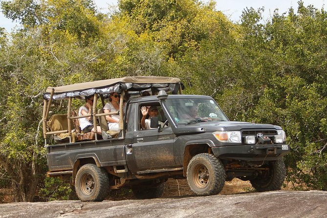 Private Day-Trip to Yala National Park Including BBQ Dinner on the Beach