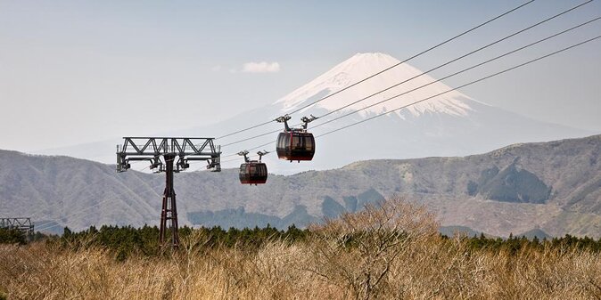 Private Full-Day Hakone and Mt. Fuji Tour With Bilingual Driver
