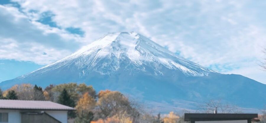 Private Full Day Sightseeing Tour to Mount Fuji and Hakone