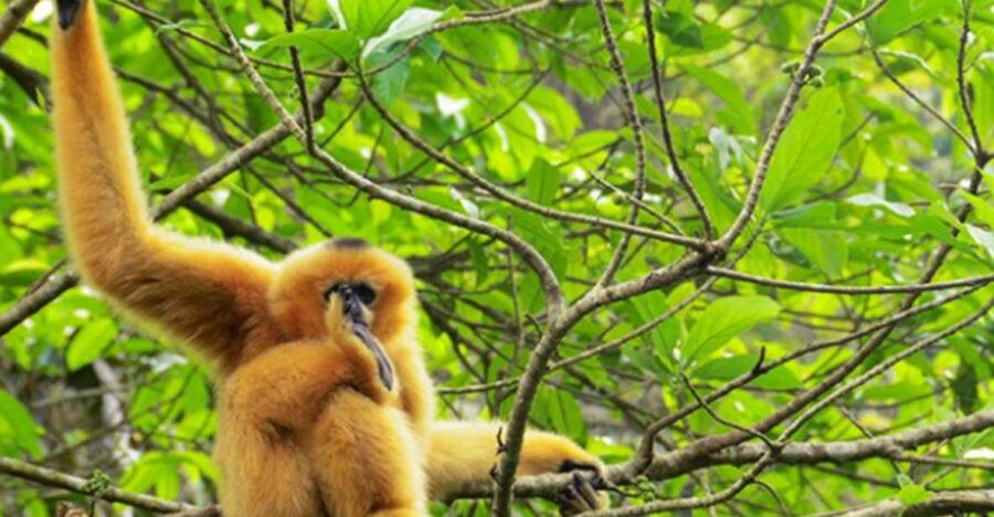 Private Full Day Tam Coc, Cuc Phuong National Park W/ Lunch - Good To Know