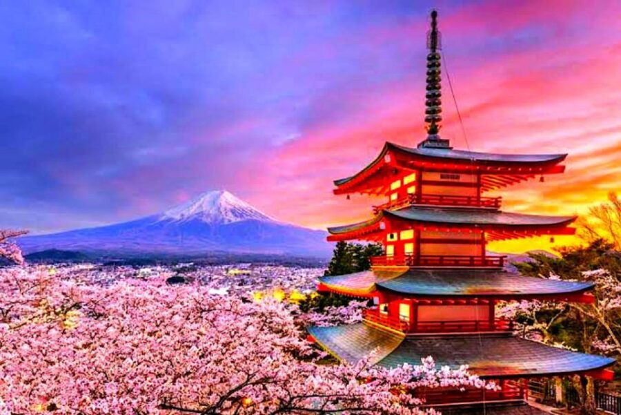 Private Guided Tour in Mount Fuji and Hakone