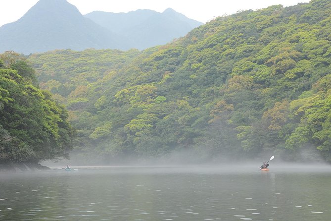 Private Half-Day Kayaking Trip on Kyushu's Anbo River  – Kagoshima Prefecture