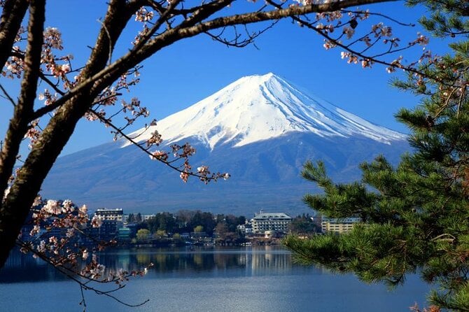 Private Mount Fuji Tour – Bilingual Chauffeur – up to 5 Travelers