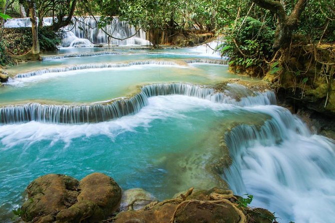 Private Tour: Pak Ou Cave and Kuang Si Waterfall Tour From Luang Prabang