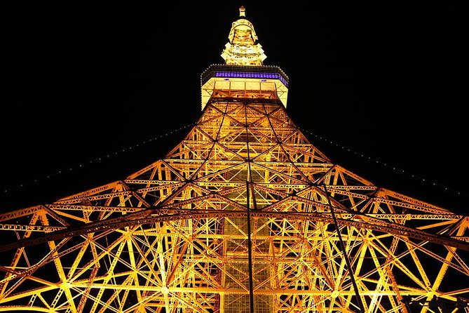 Private Transport Tokyo City Night View Tour - Good To Know