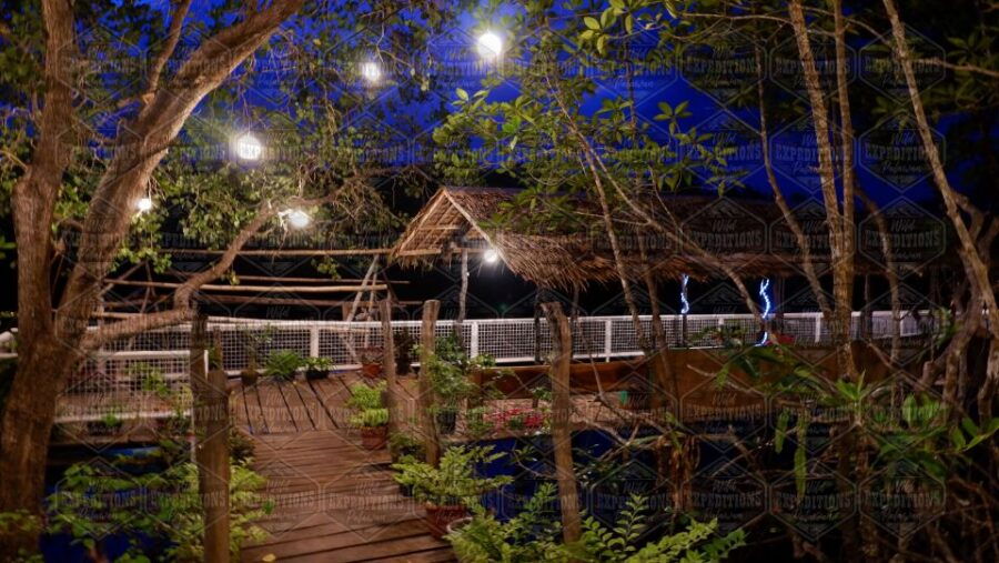 Puerto Princesa: Firefly Watching Paddle Boat Tour & Dinner - Good To Know