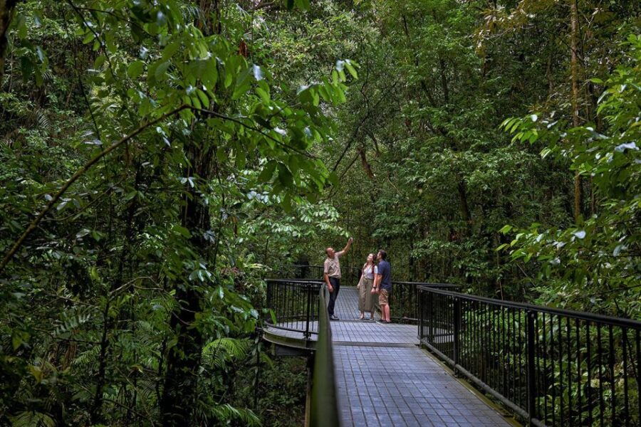 Queensland: Cape Tribulation, Daintree, and Mossman Day Trip - Good To Know