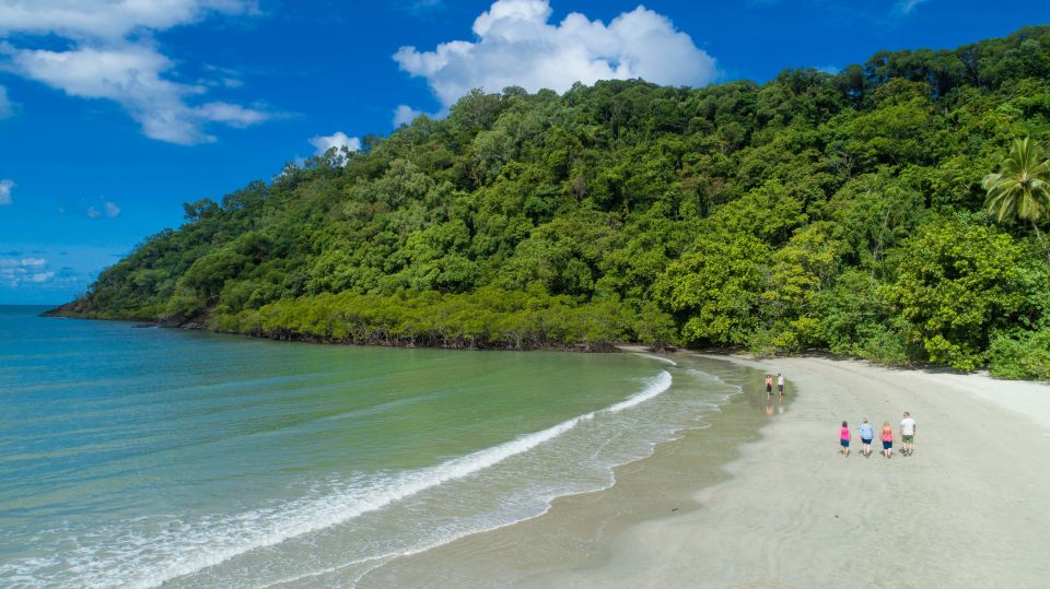 Queensland: Daintree & Cape Tribulation 4WD Tour With Pickup - Good To Know