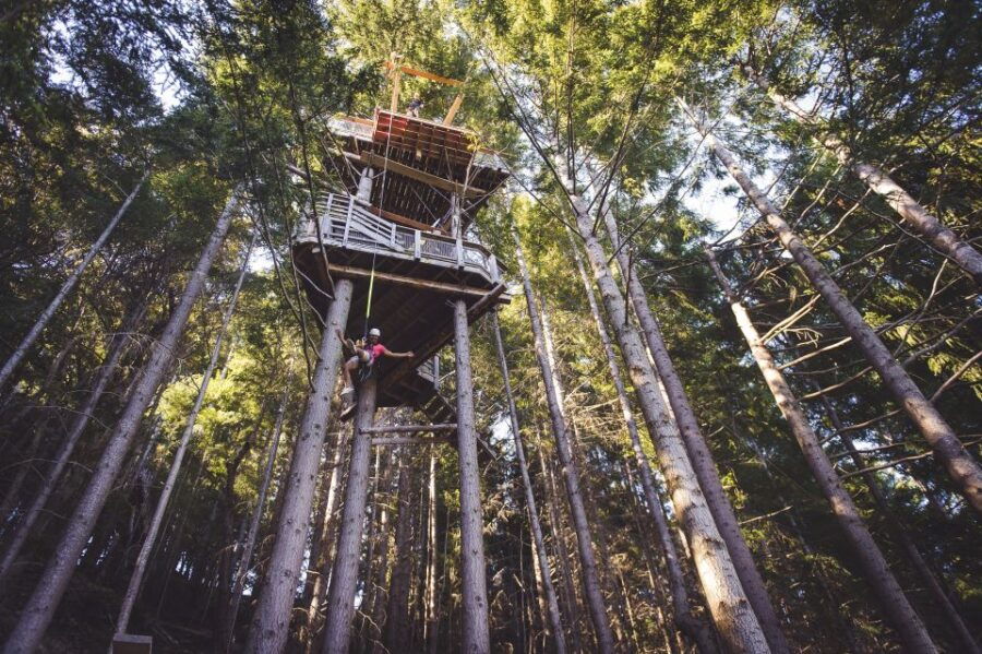 Queenstown: 1-Hour Zipline Tour With 2-Lines & 21-Meter Drop - Good To Know