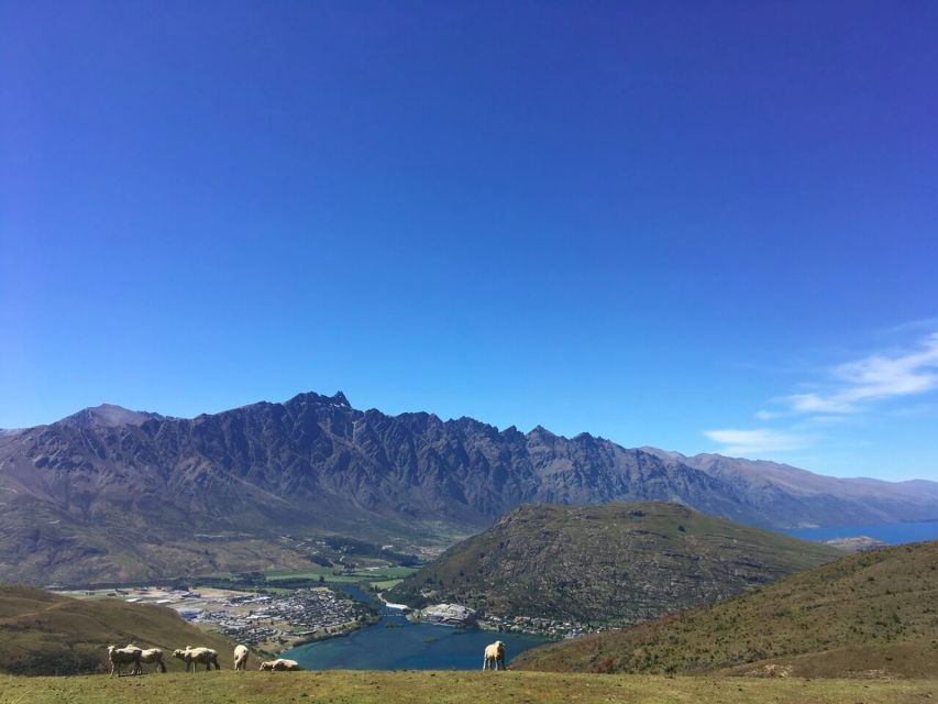 Queenstown: 360-Degree UTV Tour