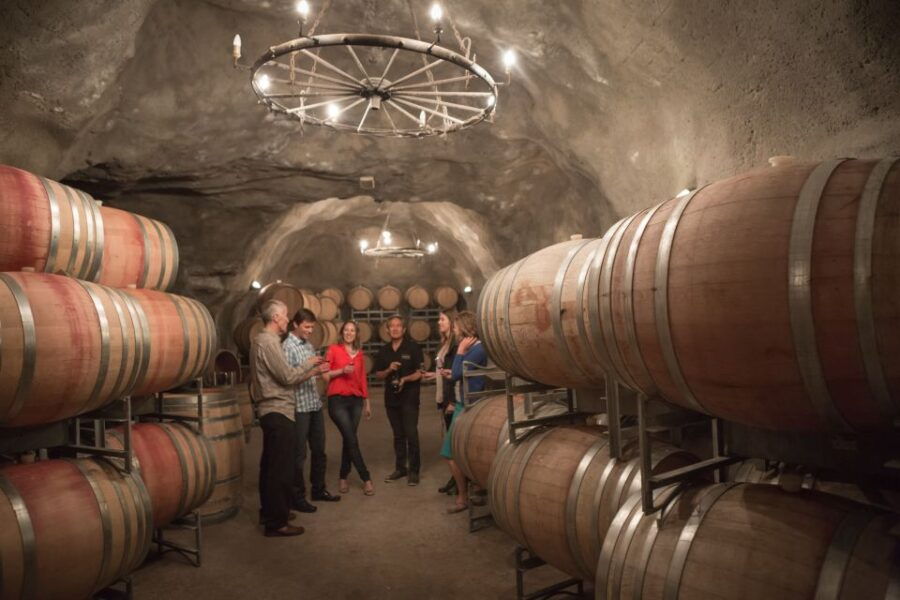Queenstown: Afternoon Wine Tasting Tour With 3 Wineries