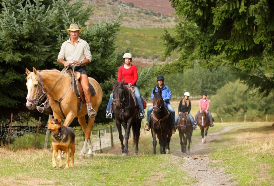 Queenstown: Walter Peak Horse Trek & TSS Earnslaw Cruise - Good To Know