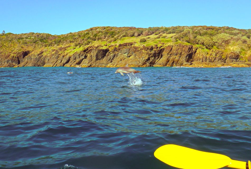 Rainbow Beach: Kayaking With Dolphins and Beach 4WD Tour - Activity Details