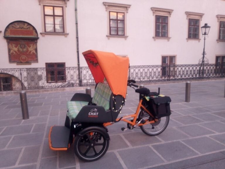 RAXI (Electric Rickshaw) Big 3 Hours Tour Vienna