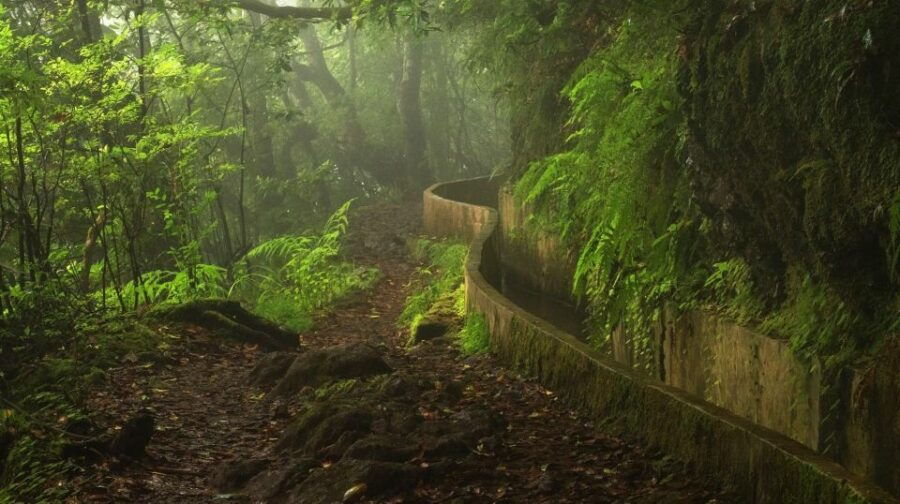 Ribeiro Frio / Portela Full Day Hike