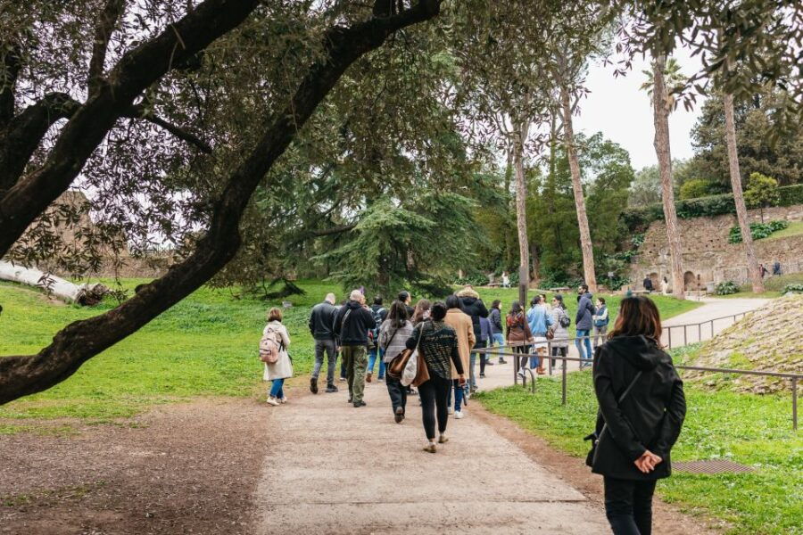 Rome: Skip the Line Colosseum, Forum, and Palatine Hill Tour - Good To Know