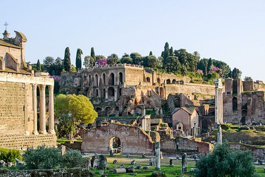 Rome: Skip-the-Line Tour to Colosseum, Forum, Palatine Hill - Good To Know