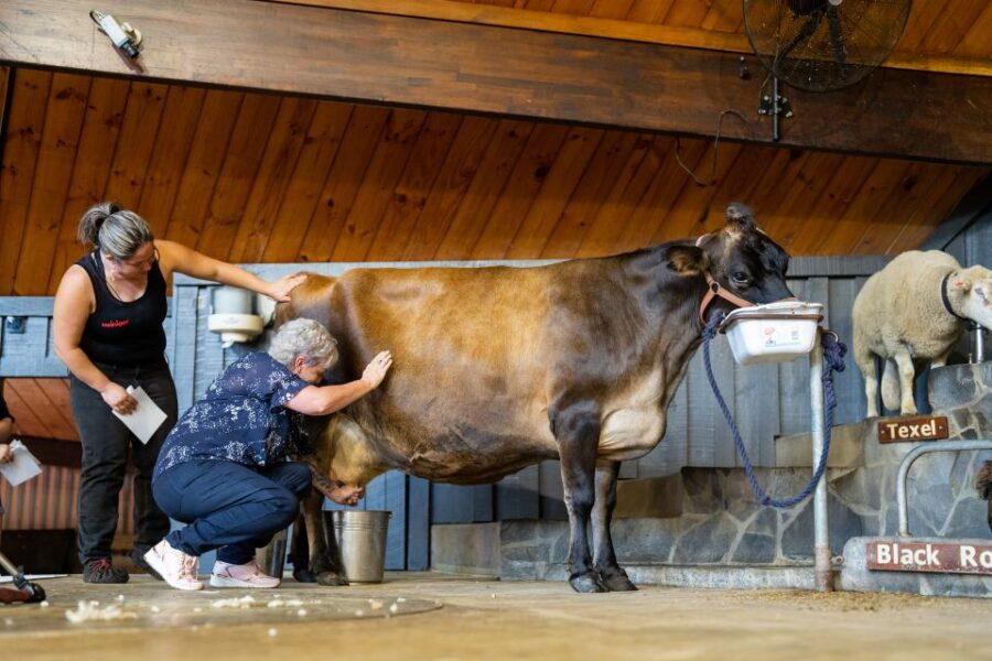 Rotorua: Agrodome Farm Tour With Show and Produce Tasting