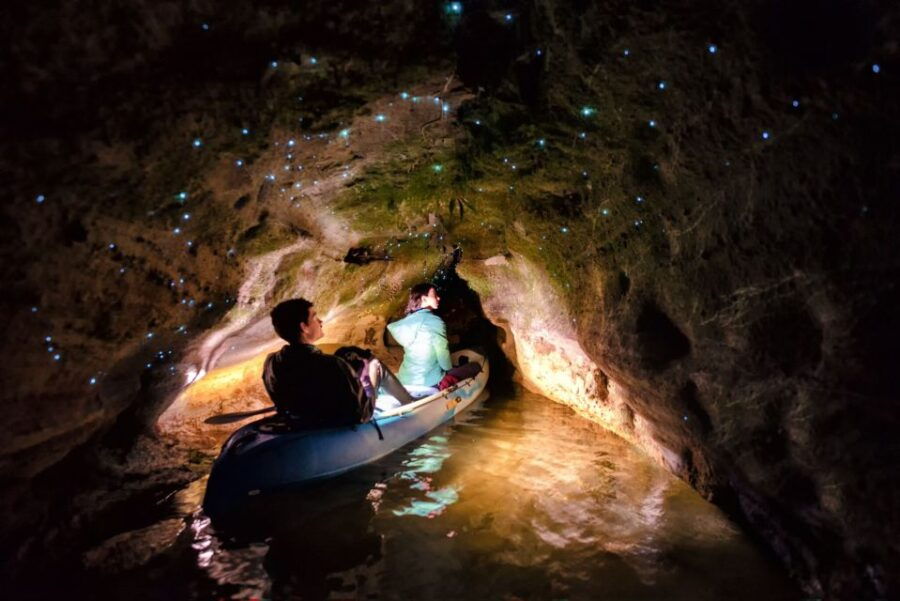 Rotorua: Evening Glow Worm Guided Kayaking Tour - Good To Know