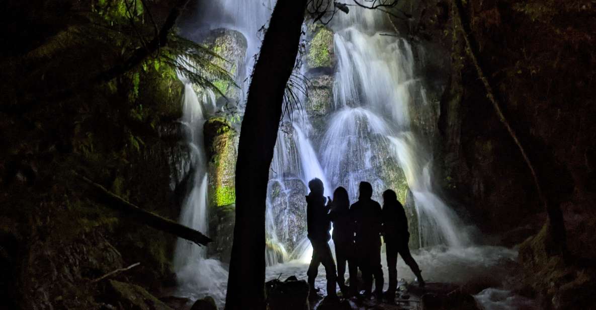 Rotorua: Nocturnal Glow Worm Tour With a Guide - Good To Know