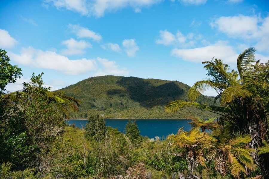 Rotorua: 'Off The Beaten Track' Geothermal Day Tour - Good To Know