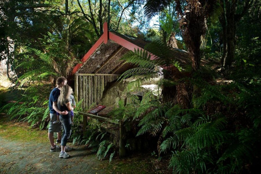 Rotorua: The Buried Village of Te Wairoa - Good To Know
