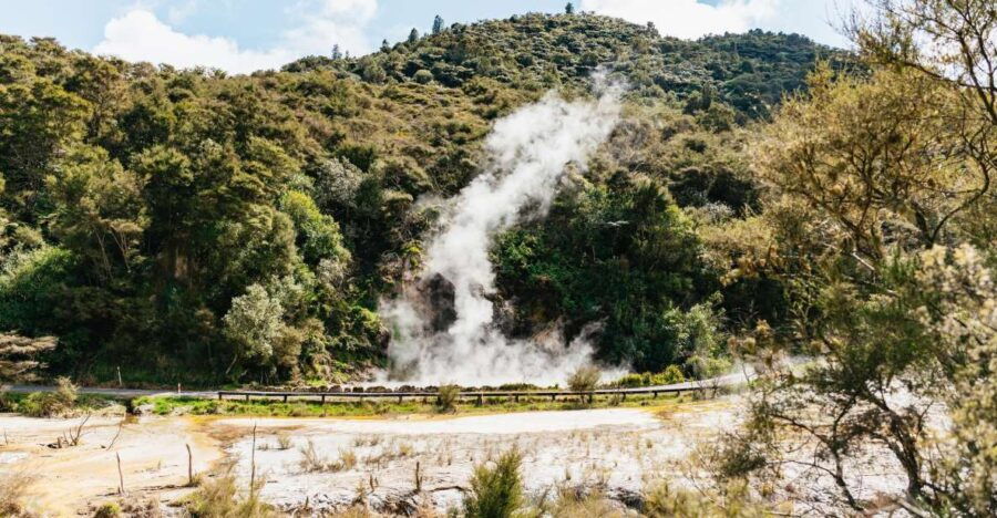Rotorua: Waimangu Volcanic Valley Entry Ticket - Good To Know