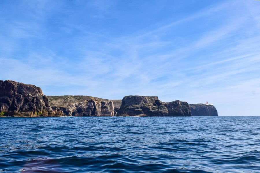 Sagres: Wildlife Tour Dolphins and Caves - Good To Know
