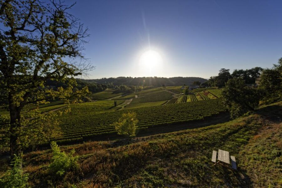 Saint-Emilion Grand Cru Classé: Guided Visit Tour & Tasting - Good To Know
