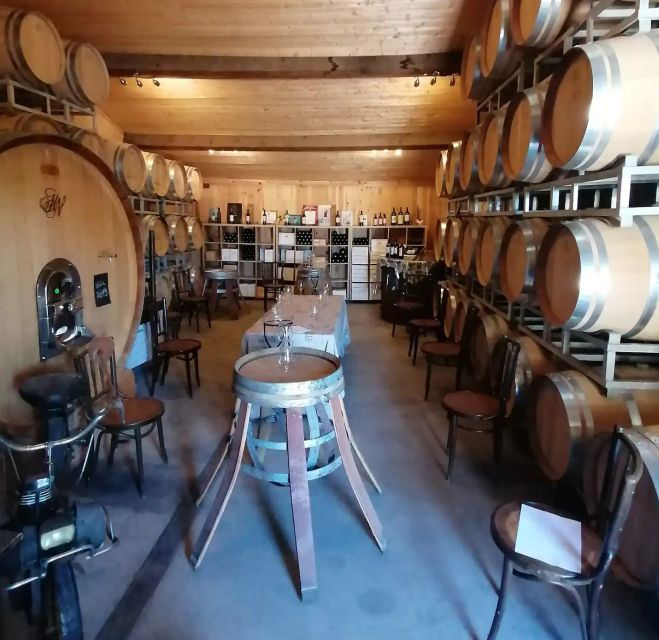 Saint-Émilion: Vineyard Walking Tour and Tasting