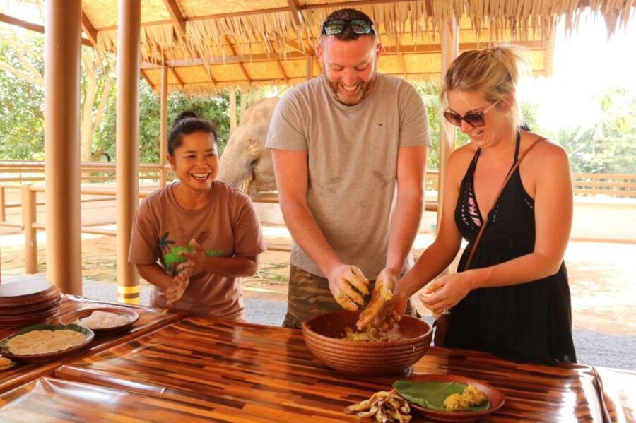 Samui: Feeding Program at the Elephant Home Nursery