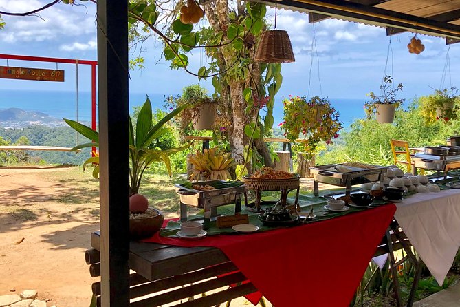 Samui X Quad 4WD Buggy Tour With Lunch
