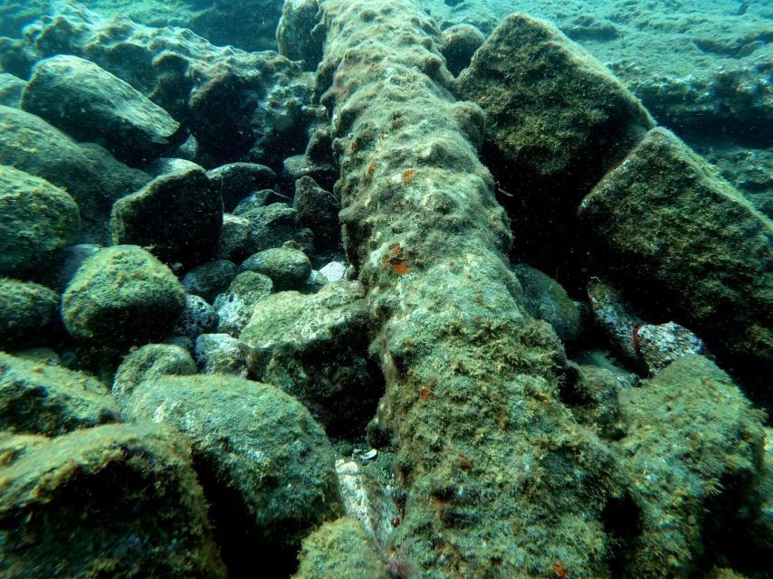 4 Best Snorkeling Experiences In Sao Miguel Island