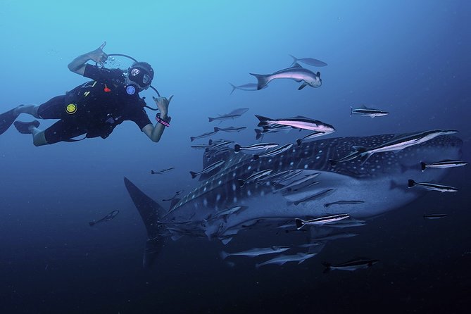 Scuba Dive in Koh Lanta, Thailand
