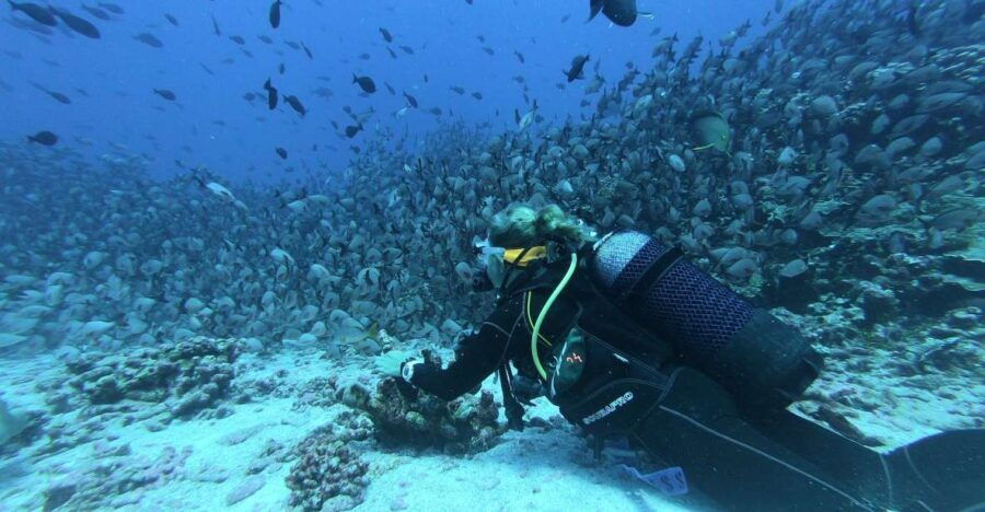 Scuba Diving at Dusk in Unawatuna