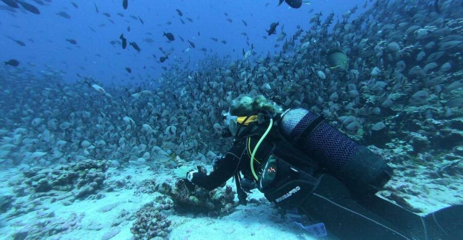Scuba Diving in Mirissa