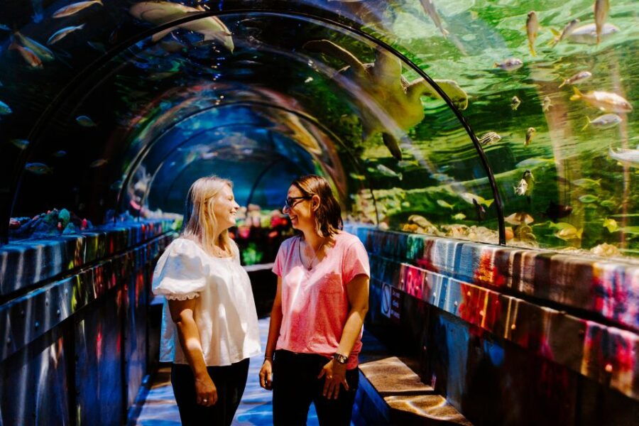 Sea Life Brighton Admission Ticket - Good To Know