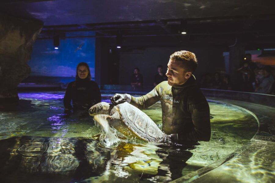 Sea Life Kelly Tarlton’s Aquarium General Admission