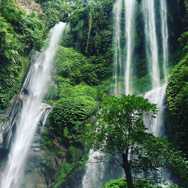 Sekumpul and Banyumala Waterfalls Hiking Tour - Good To Know