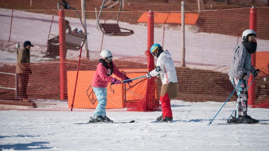 Seoul: Jisan Forest Ski Resort Day Trip (Transfers/ Lesson)