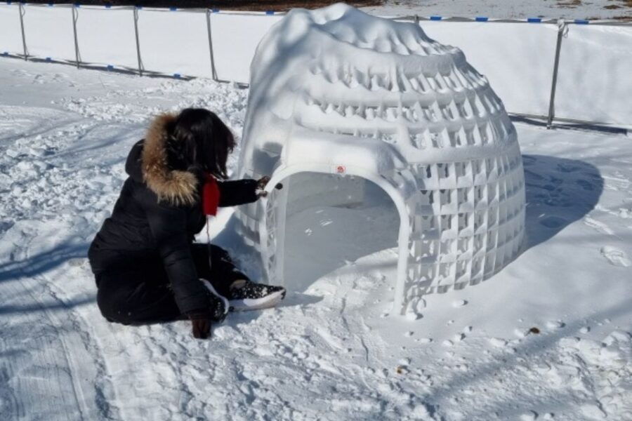 Seoul: Strawberry Farm and Dongjangkun Snow Festival - Good To Know