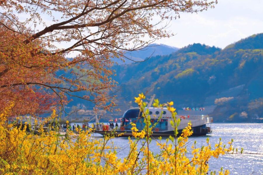 Seoul: Strawberry Hunt, Nami, Railbike (Optional K-Garden)