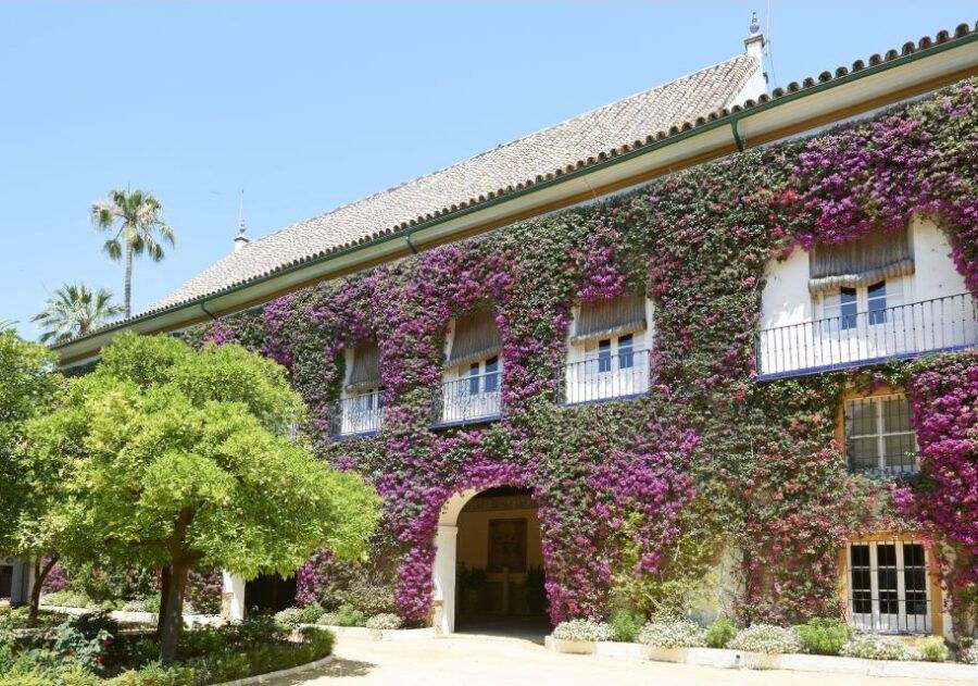 Seville: Las Dueñas Palace Ticket and Audioguide - Good To Know