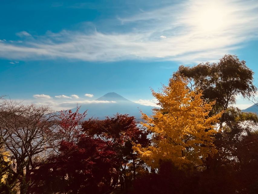 Shinjuku: Mount Fuji Panoramic View and Shopping Day Tour