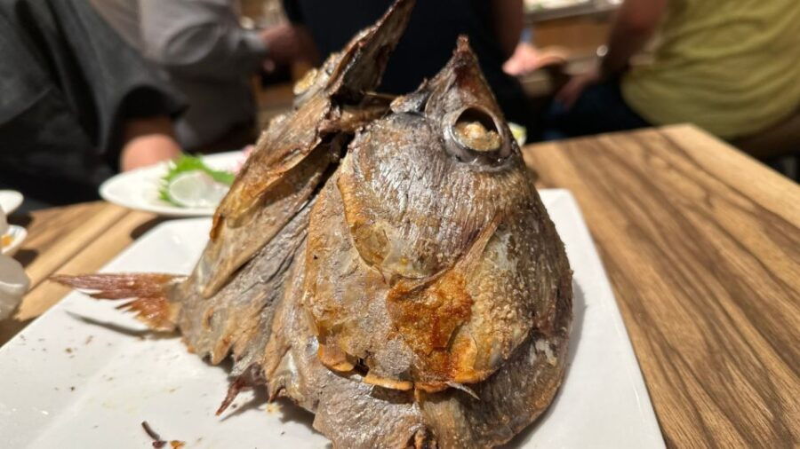 Shinjuku【A Place Only Locals Know】 Bar Hopping/Pub-Crawl - Good To Know