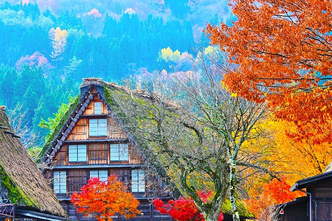 Shirakawa-Go and Hida-Takayama Private Day Trip From Nagoya - Good To Know