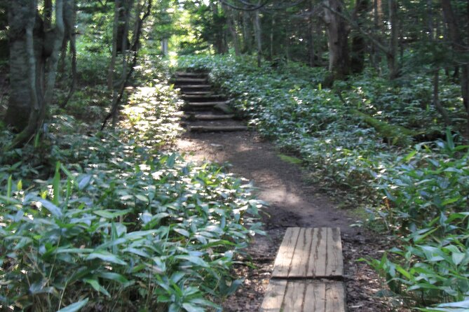 Shiretoko Five Lakes Trekking Tour