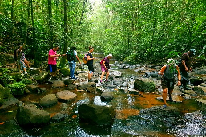 Sinharaja Forest Reserve Private Day Trip With Ranger Guide 2023 - Bentota - Good To Know