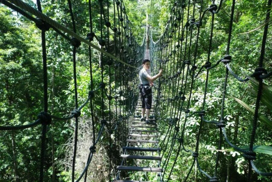 Skytrex Adventure Park Experience in Sg Congkak - Good To Know